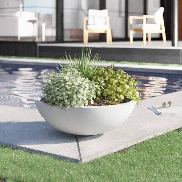 Pure Series Lane Bowl Planter | Wayfair North America
