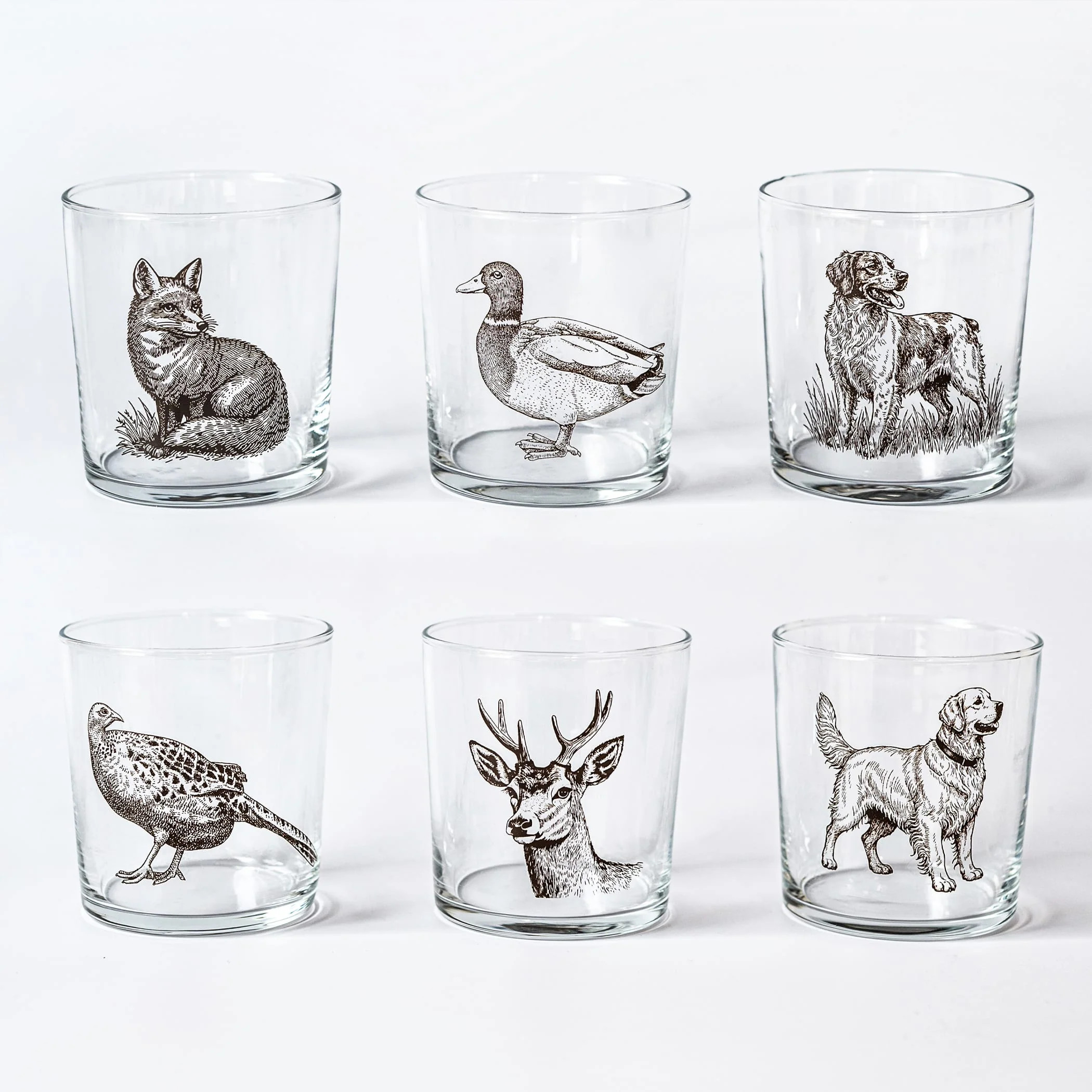 Wildlife Assorted Tumblers - Set of 6 | VIETRI