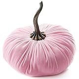 9 Inch Extra Large Velvet Pumpkin Pink, Handmade Home Decor, Fall Wedding Centerpiece, Rustic Weddin | Amazon (US)