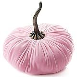 9 Inch Extra Large Velvet Pumpkin Pink, Handmade Home Decor, Fall Wedding Centerpiece, Rustic Weddin | Amazon (US)