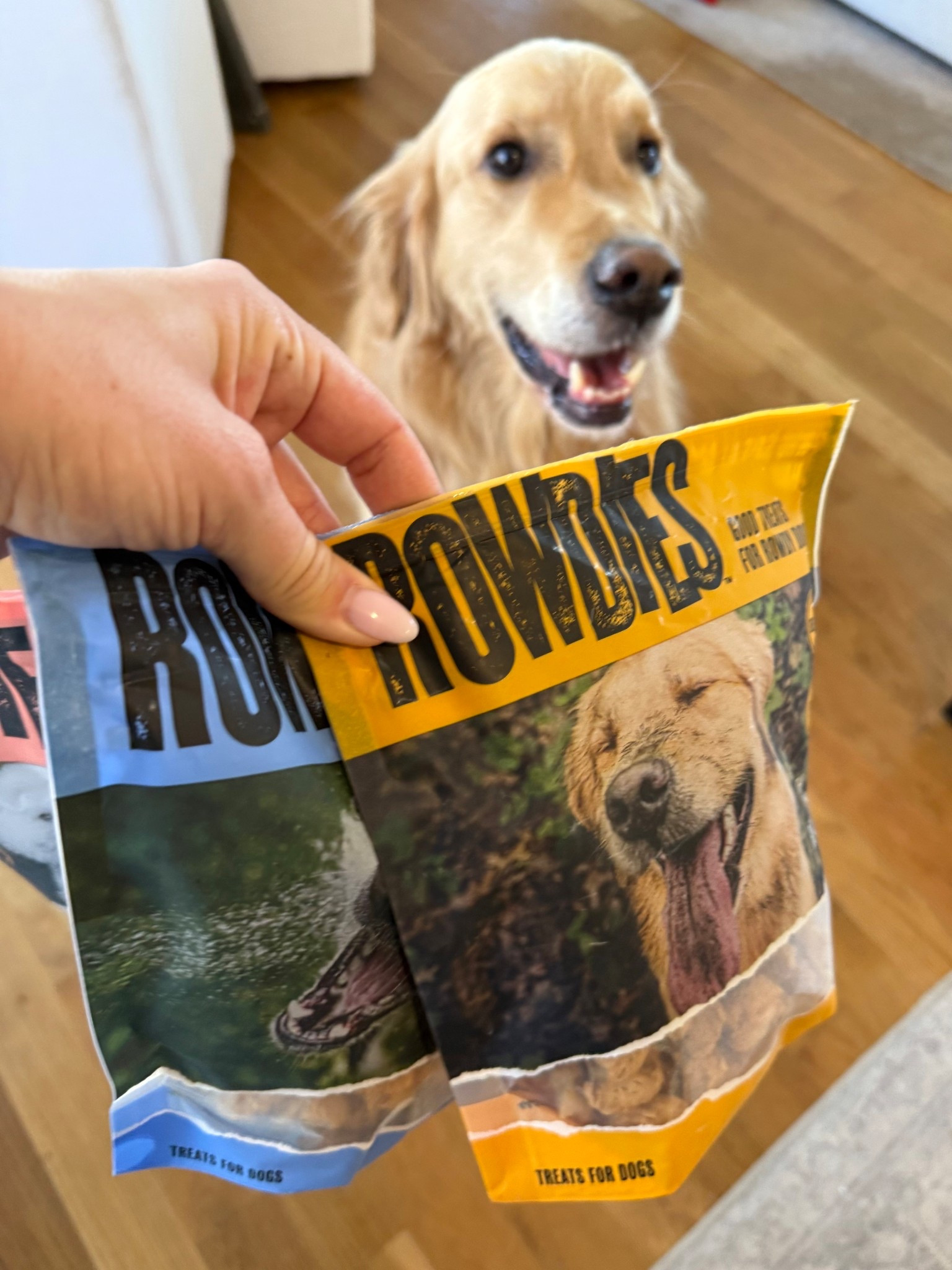 @RowdiesDogTreats ! #ad @target #TargetPartner #Target #GetRowdies