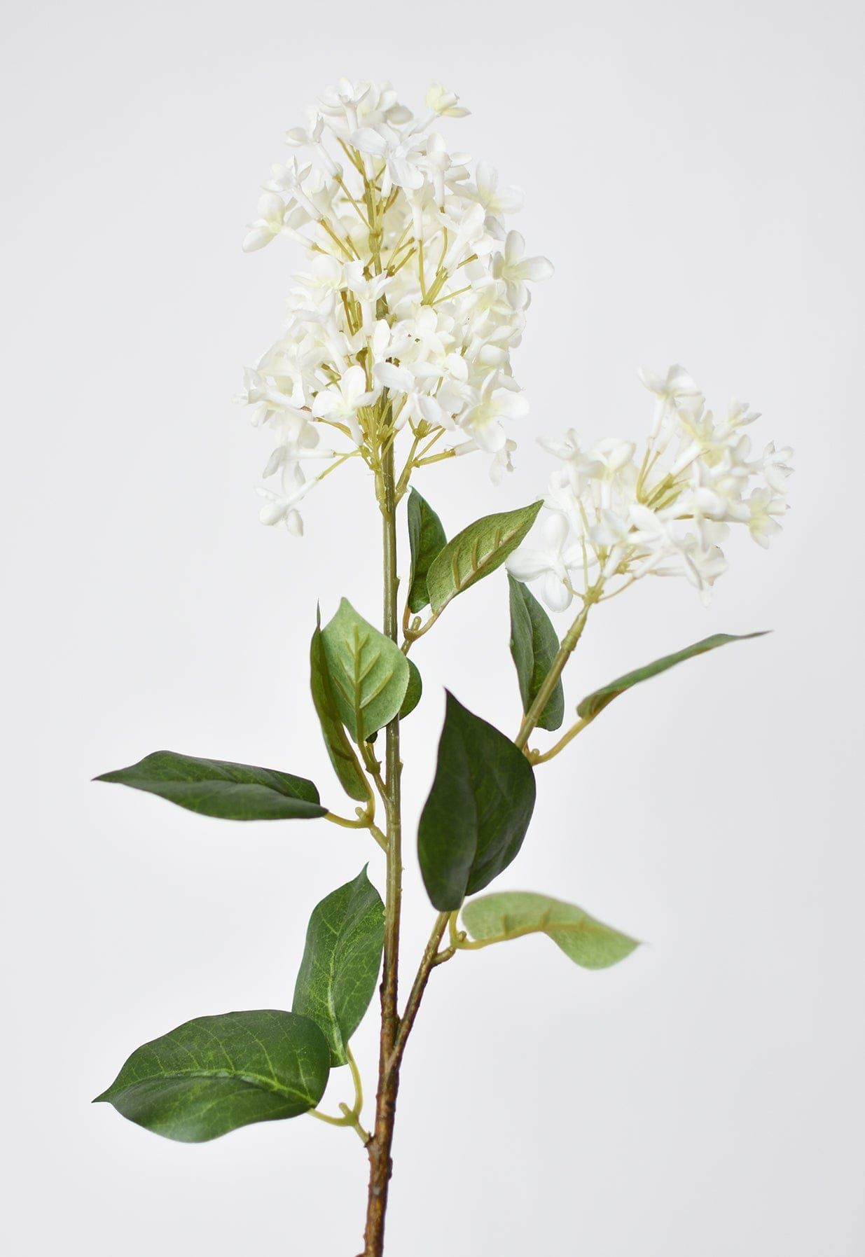 28.5" Faux White English Lilac Stem | HouseFloral