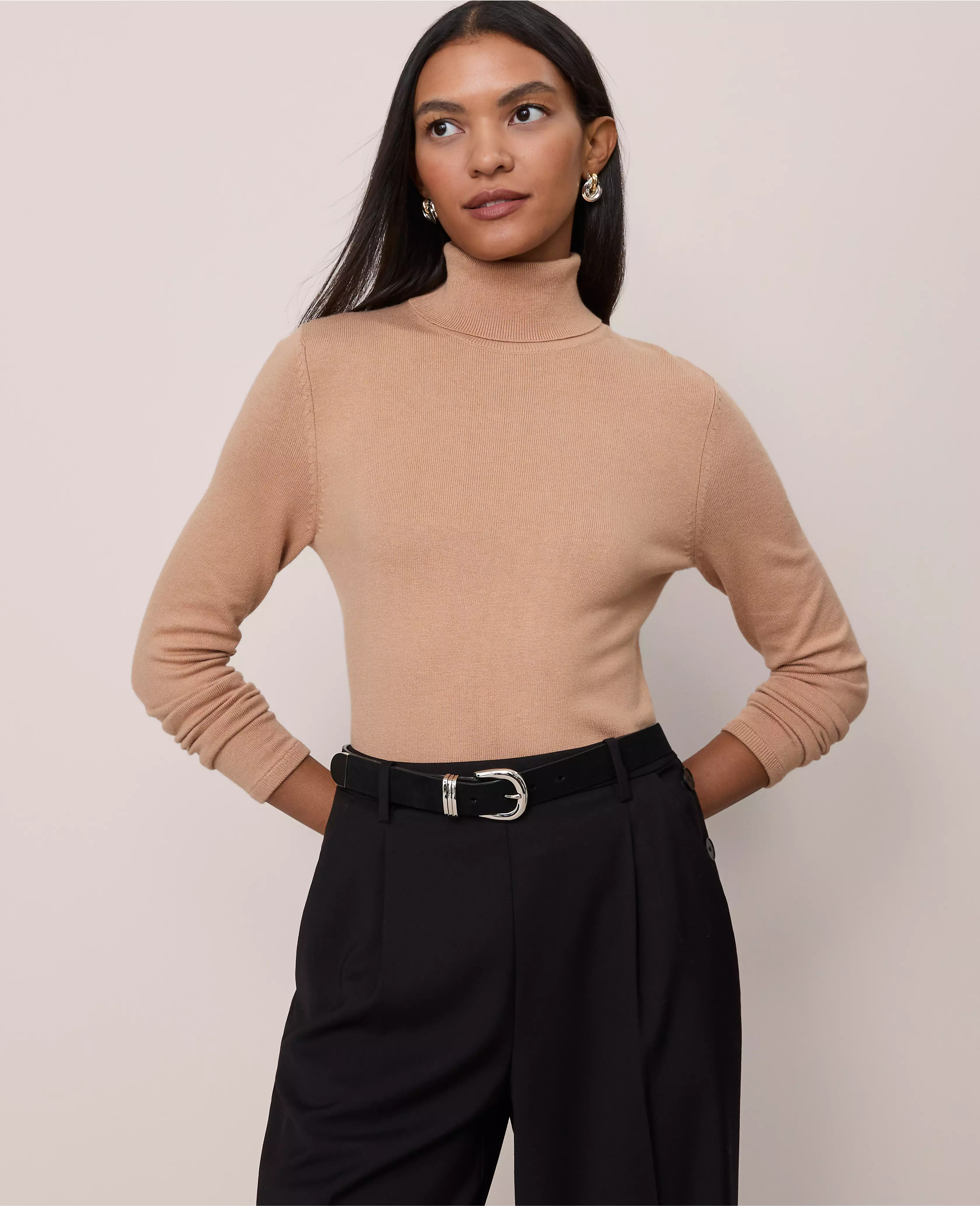 Essential Turtleneck Sweater | Ann Taylor