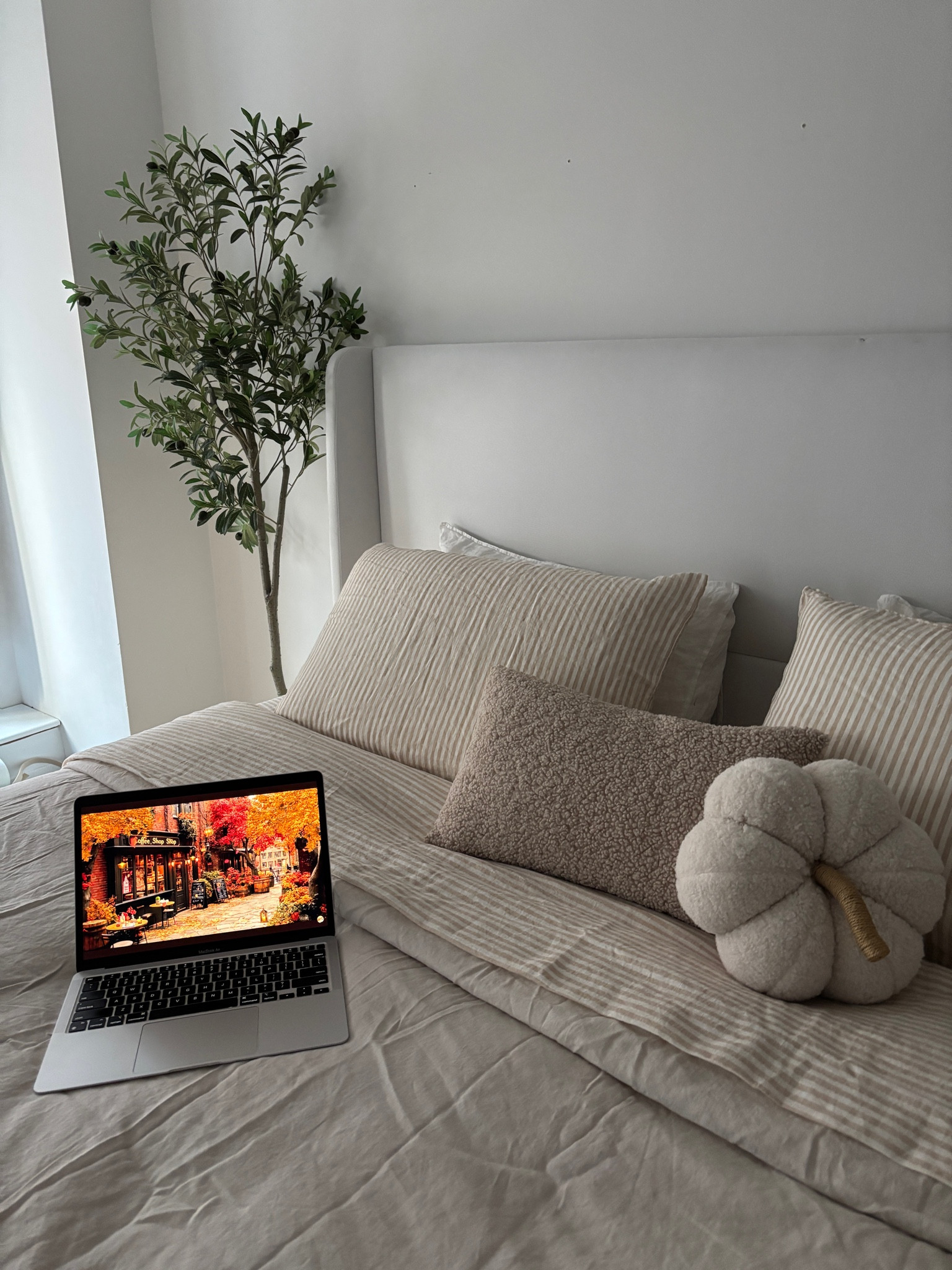 Fall bedding refresh 🤎🍁🍂☕️

Quince bedding, neutral bedding, home inspo, bedroom decor

#LTKSeasonal #LTKFindsUnder100 #LTKHome
