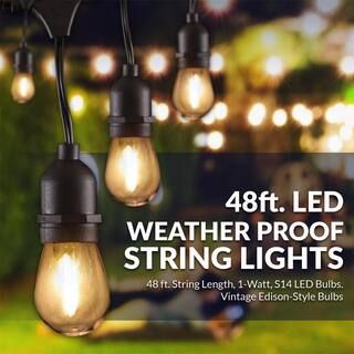 Newhouse Lighting Outdoor 48 ft. Plug-in S14 Edison Bulb String Light with 16 E26 LED Filament Li... | The Home Depot