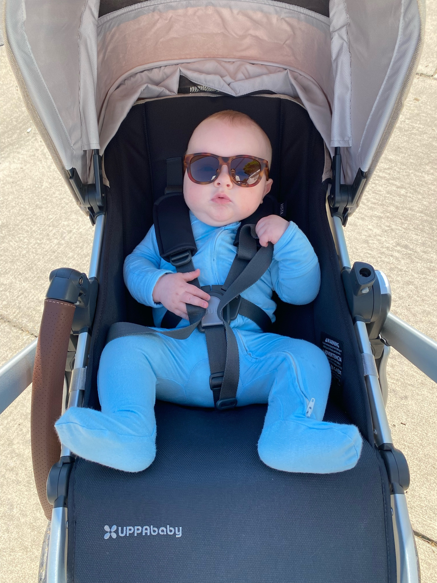 Babiators 😎