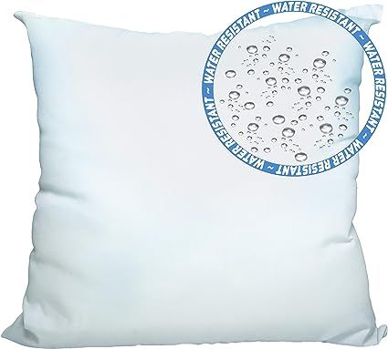 Foamily Set of 2-22 x 22 Premium Outdoor Water Resistant Hypoallergenic Stuffer Pillow Throw Inse... | Amazon (US)