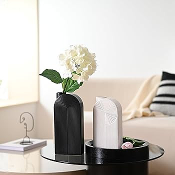 TERESA'S COLLECTIONS Black and White Modern Vase for Home Decor, Ceramic Decorative Flower Vase f... | Amazon (US)