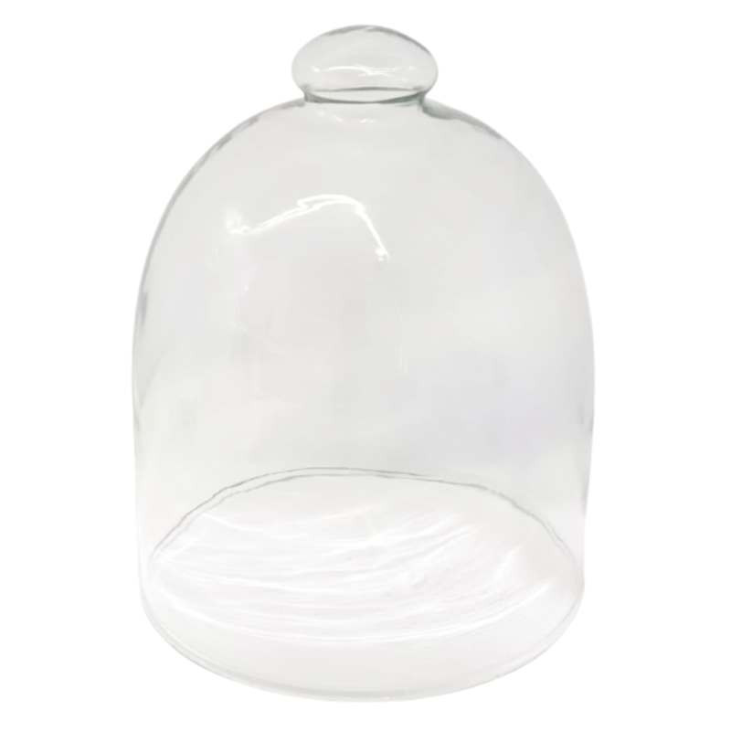 Clear Glass Cloche, 6.25" | At Home