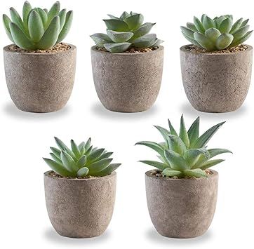 Korvea Set of 5 Artificial Succulent Plants - Mini Assorted Fake Succulents - Small Artificial Pl... | Amazon (US)