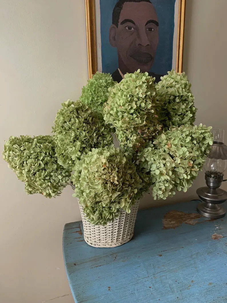 Green Limelight Hydrangea Bouquet, 3 Large Size Stems, Dried Flower Arrangement, Floral Table Cen... | Etsy (Global)
