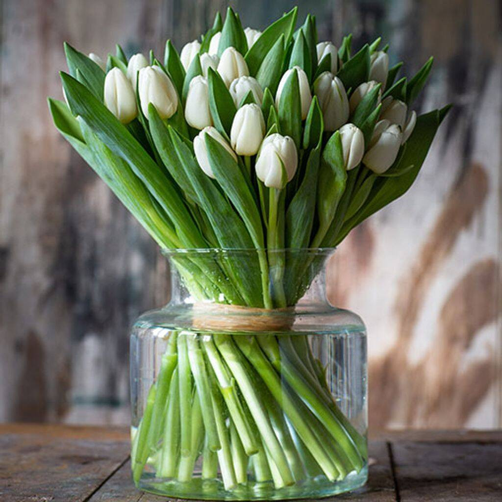 Fresh White Tulips Bouquet | Not On The High Street