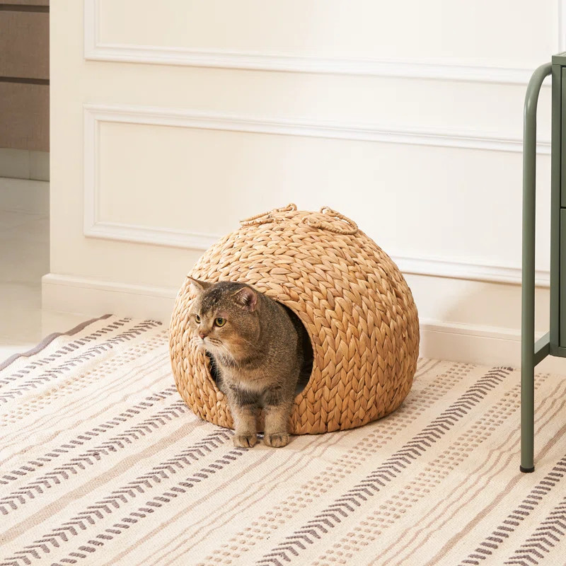 Emmely Nest Water Hyacinth Woven Wicker Round Pet Bed with Handles | Wayfair North America