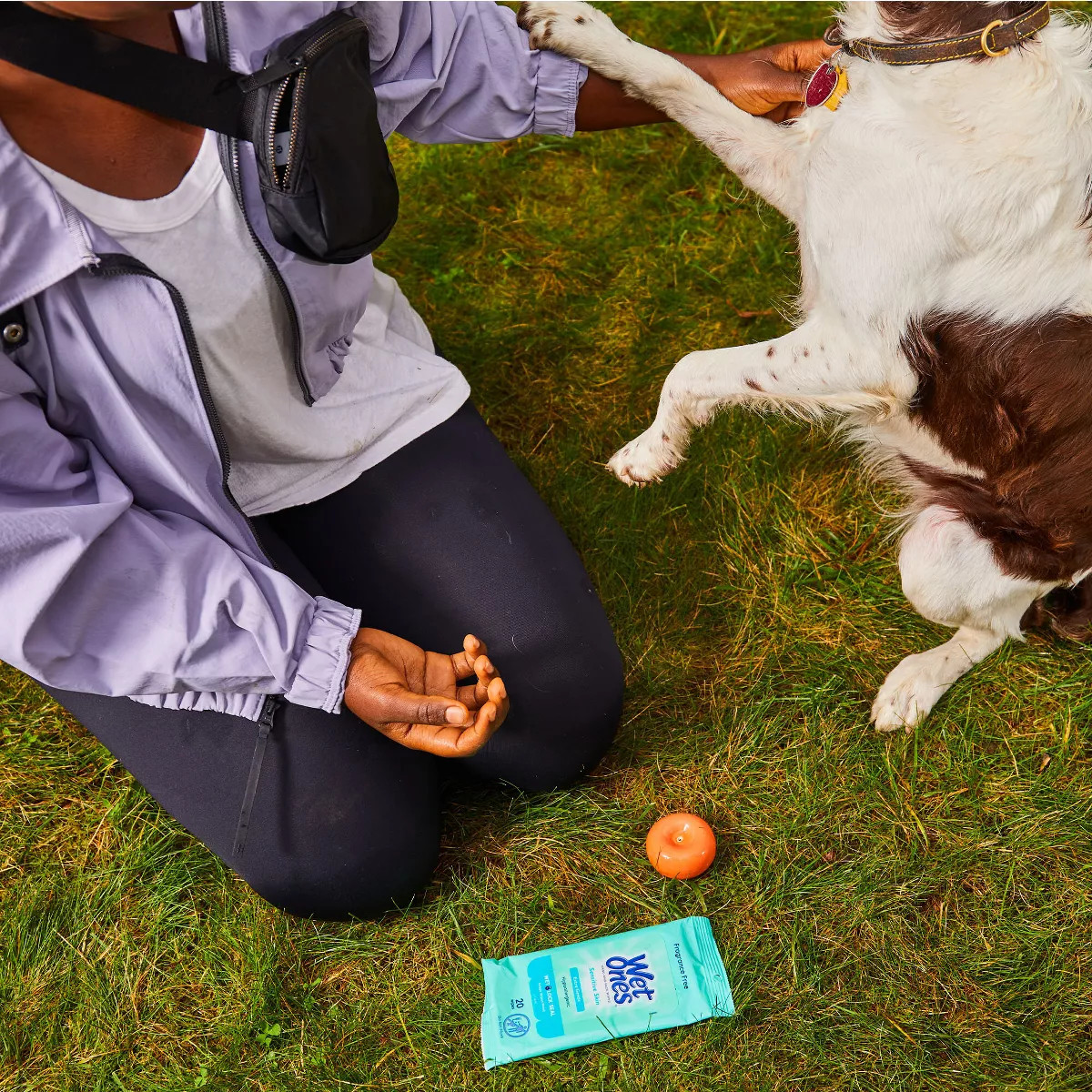 Wet Ones Sensitive Skin Hand Wipes Travel Pack - Fragrance Free - 20ct | Target