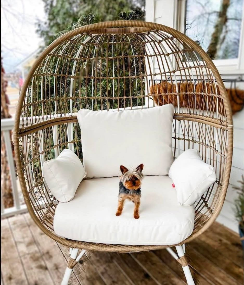 Viral egg chair now back in stock!

#LTKSeasonal #LTKSaleAlert #LTKHome