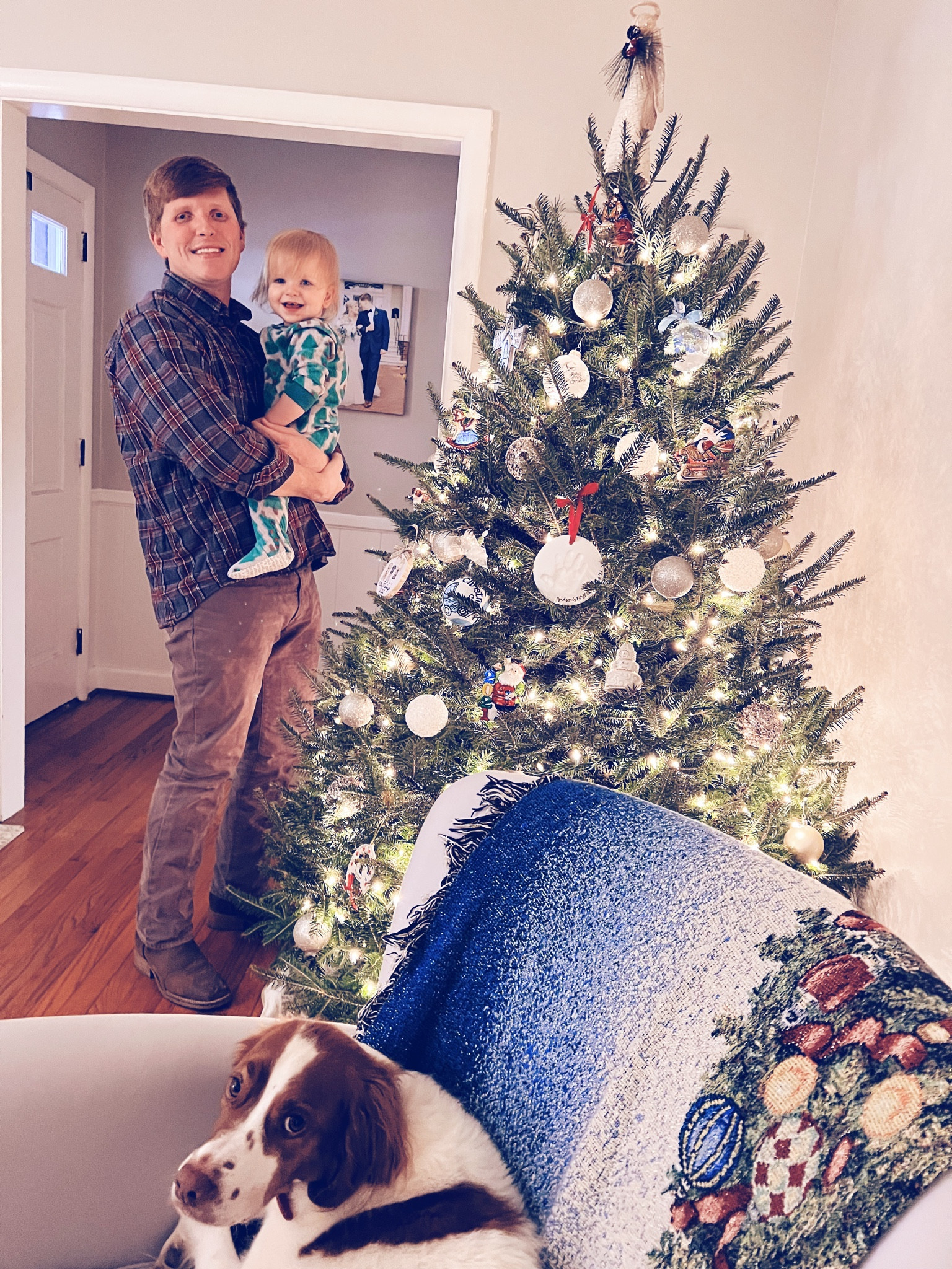 Home for the holidays 🎄

#LTKHoliday #LTKhome #LTKSeasonal