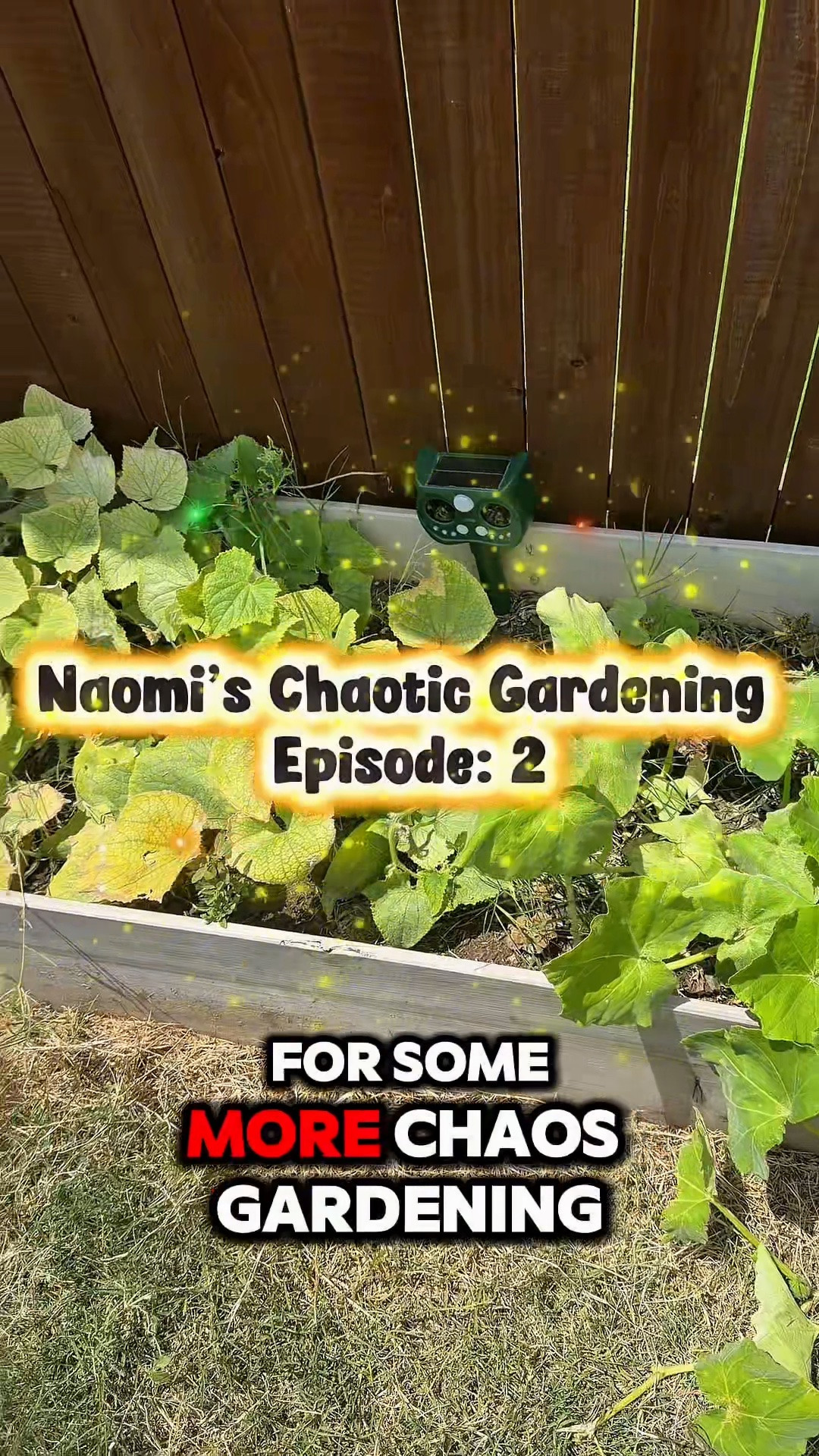 Episode 2: Turns out gardening is 10% growing vegetables and 90% pulling weeds. 😂🌱

Today’s mission: clearing out the weeds so my watermelon, cucumbers, and tomatoes have a fighting chance. Wish me luck! 🌿

#GardenTok #Weeding #BeginnerGardener #VegetableGarden #GardeningJourney

#LTKvlog #LTKSeasonal #LTKmomlife