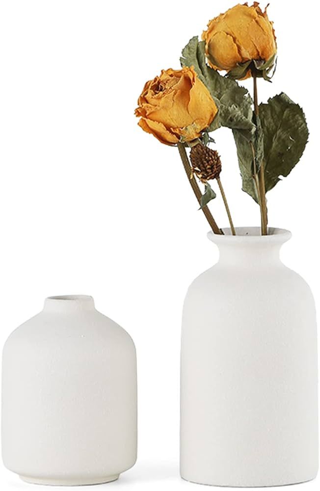 CEMABT White Ceramic vase Set-2 Small Flower vases for Decor,Modern Boho Farmhouse Home Decor,Dec... | Amazon (US)