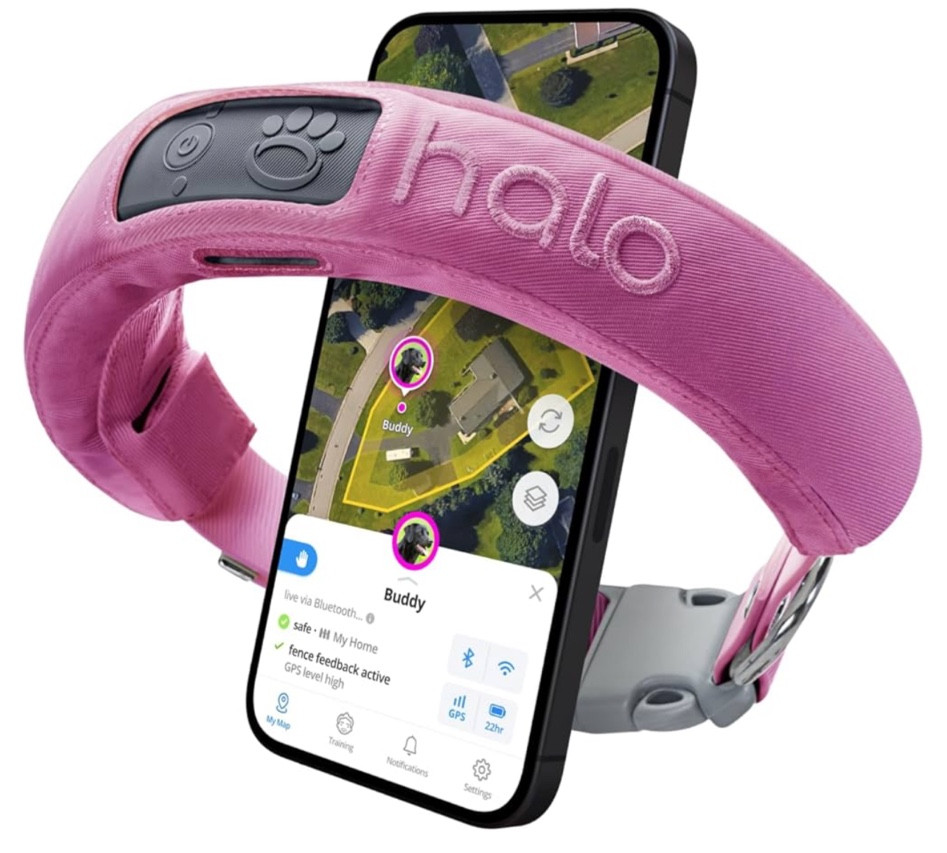 Halo Collar 3 - GPS Dog Fence - Multifunction Wireless Dog Fence & Training Collar with Real-Time Tracking & GPS - Waterproof, Instantly Create and Store Wireless Fences (Medium/Large, Orchid)

#LTKSaleAlert #LTKSeasonal #LTKFamily