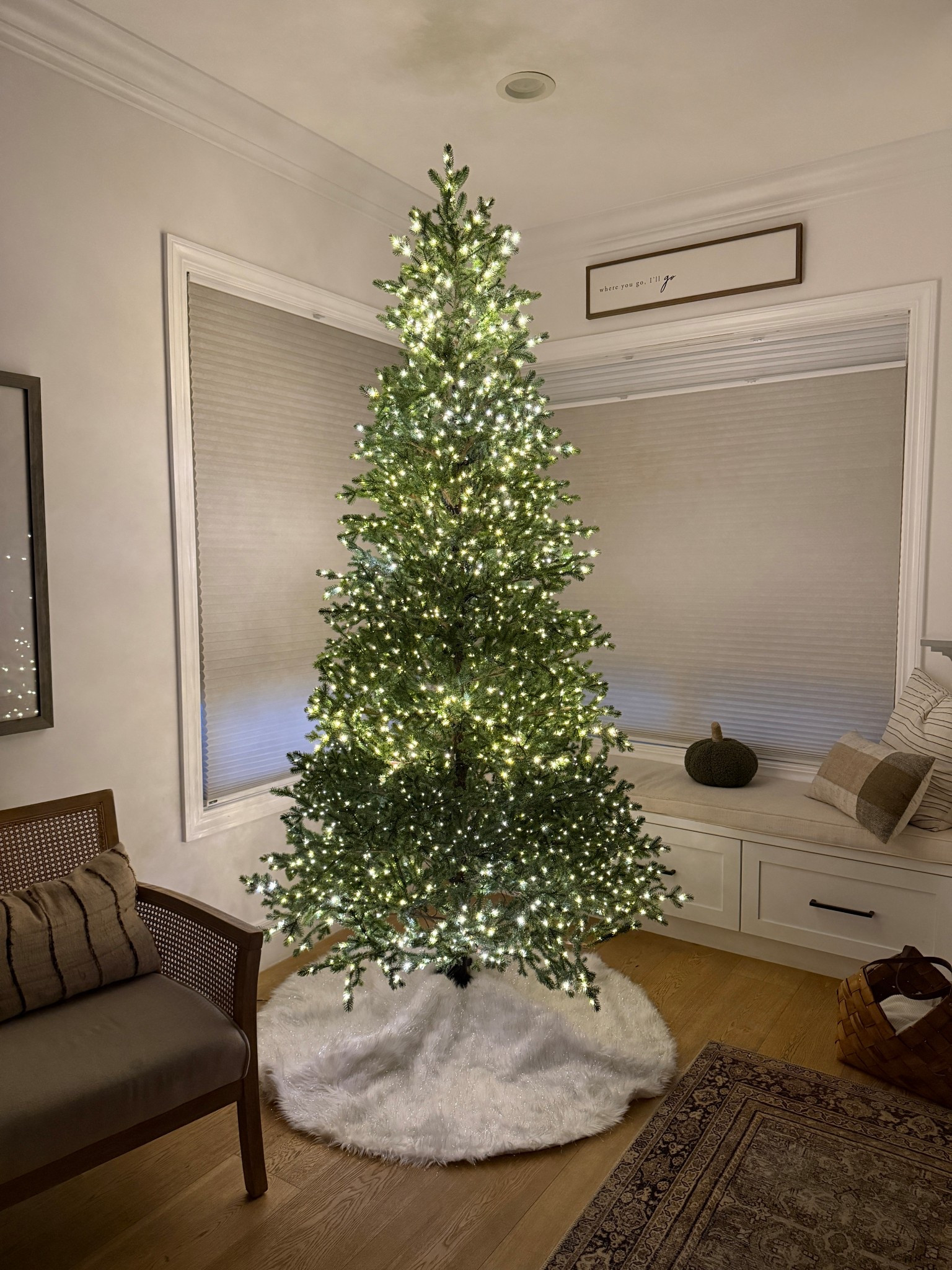 Instantly sparks joy. The viral HD tree’s sister  