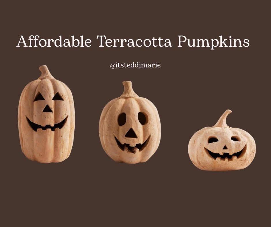Affordable Terracotta Pumpkins

#LTKHome