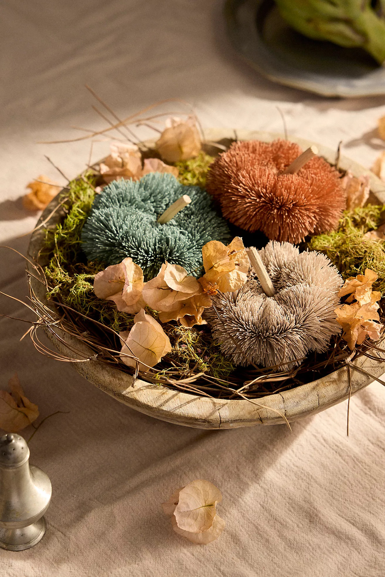 Brush Pumpkins, Set of 3 | Anthropologie (US)