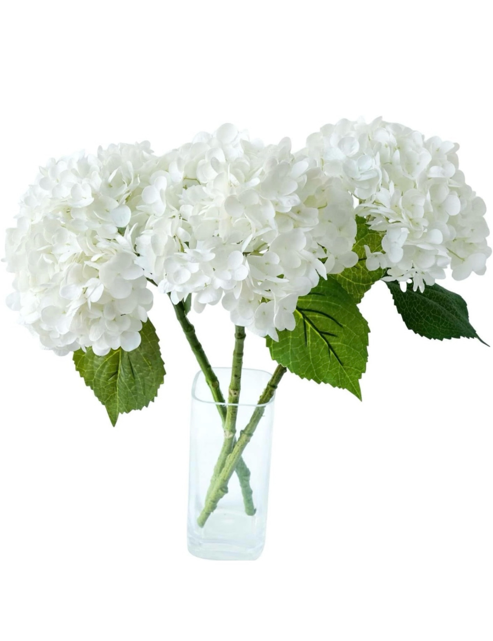 The perfect white hydrangeas! 

#LTKparties #LTKhome #LTKSeasonal