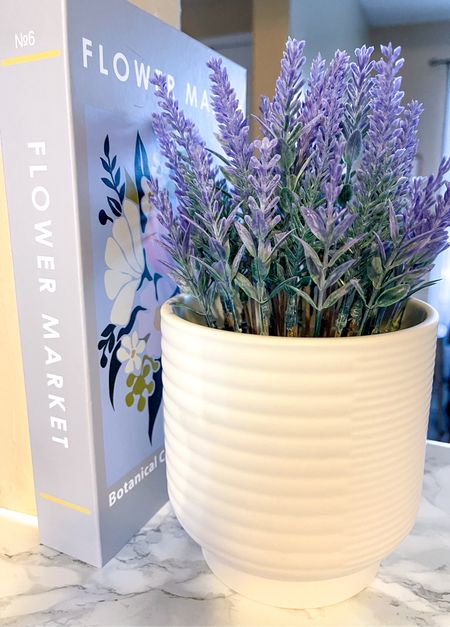 Affordable Target decor, $5 finds 





Spring decor, target home, target style, lavender arrangement, planter, Mother’s Day gift idea 

#LTKfindsunder50 #LTKhome #LTKSeasonal
