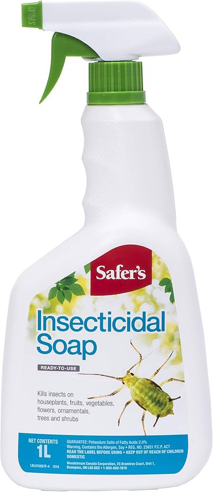 Safer's Insecticidal Soap Ready-to-Use Spray 01-5057CAN6 | Amazon (CA)