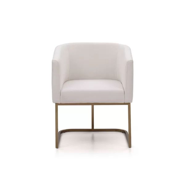 Echo Upholstered Arm Chair | Wayfair North America