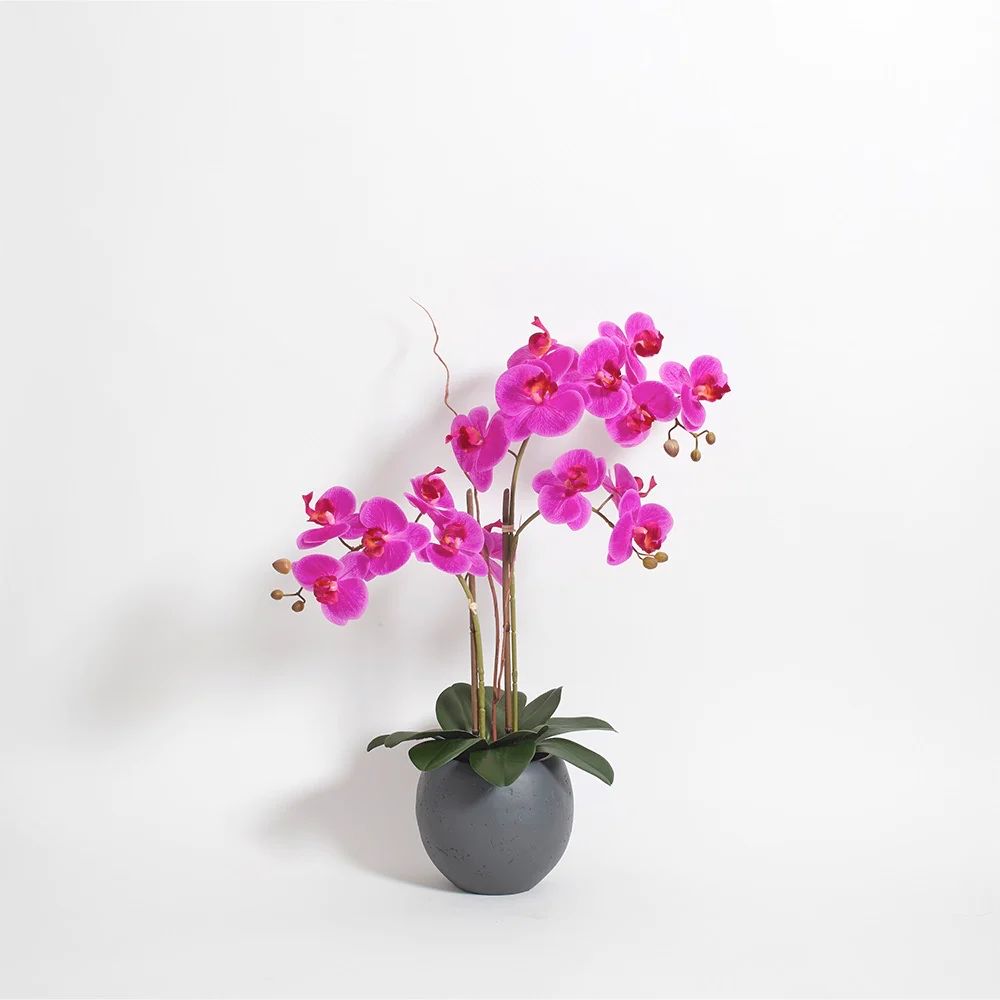 Premium Faux Pink Double Stem Orchid | CG Hunter | Luxury Faux Plants | CG Hunter