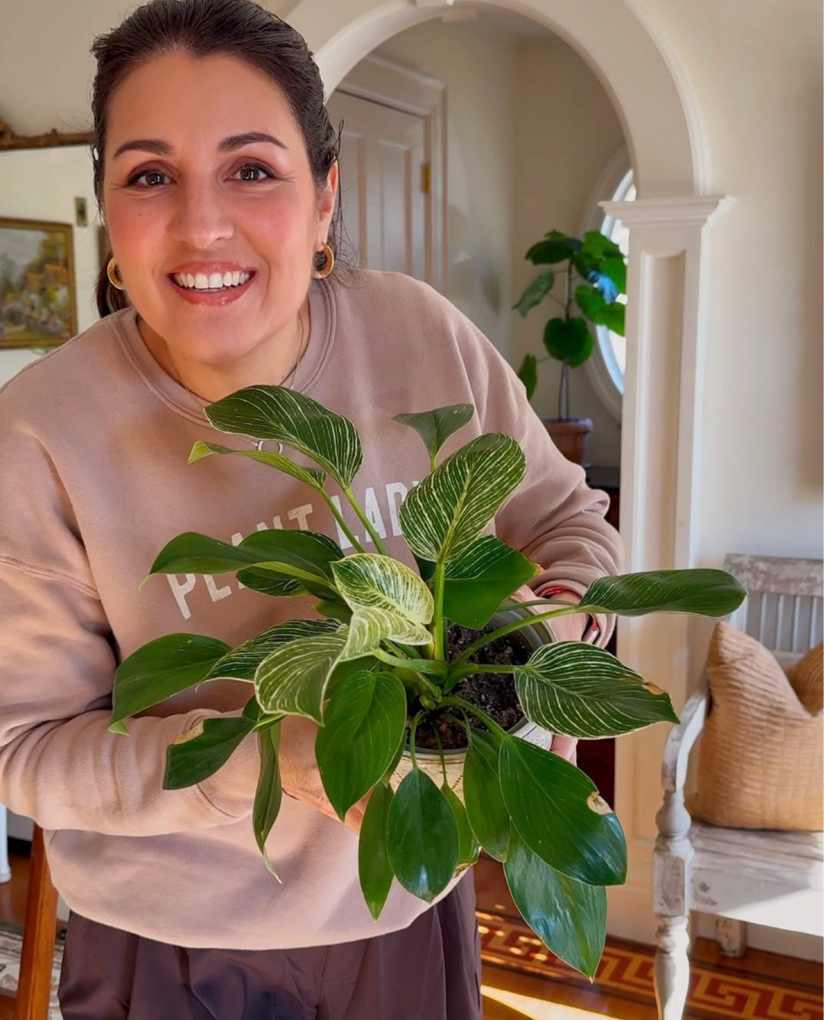 My over 50 skin care routine - everything I use and I switch things up to keep my skin guessing plus one of my favorite easy houseplants to grow…the philodendron birkin. 

Toner, wrinkle free, gentle cleanser, eye cream, neck cream, face cream, houseplant, plant

#LTKOver40 #LTKSaleAlert #LTKBeauty