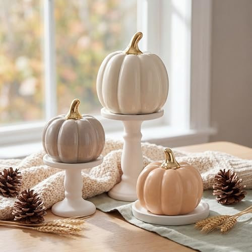 3 Pcs Ceramic Pumpkins Fall Tabletop Decor,Light Colored Style | Amazon (US)