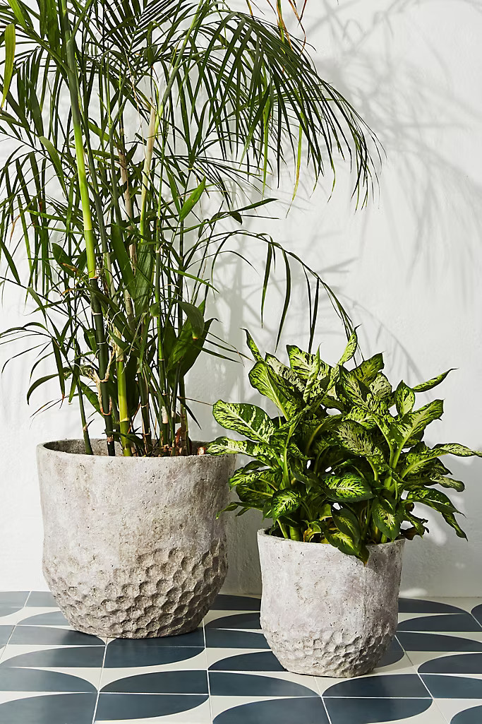 Maxine Planter | Anthropologie (US)