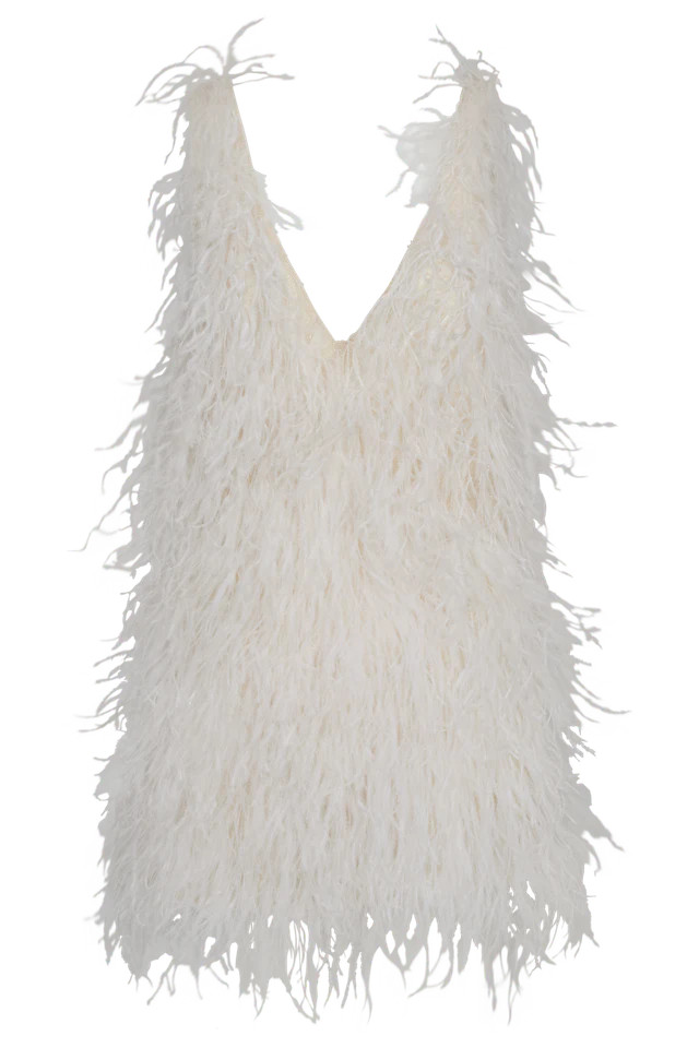 Feather Mini Dress | Gwynn's