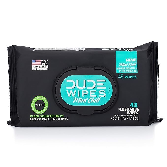 DUDE Wipes Flushable Wet Wipes Dispenser Mint Chill 48Count - Scented Wet Wipes with Vitamin-E Al... | Amazon (US)