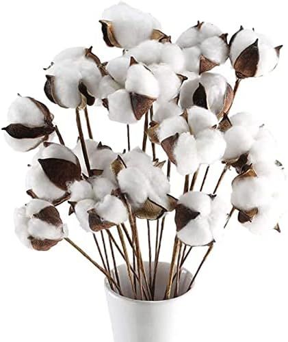 Amazon.com: GTIDEA 23" Cotton Stems Farmhouse Decorations, 20 Balls Cotton Flowers Natural Dried ... | Amazon (US)