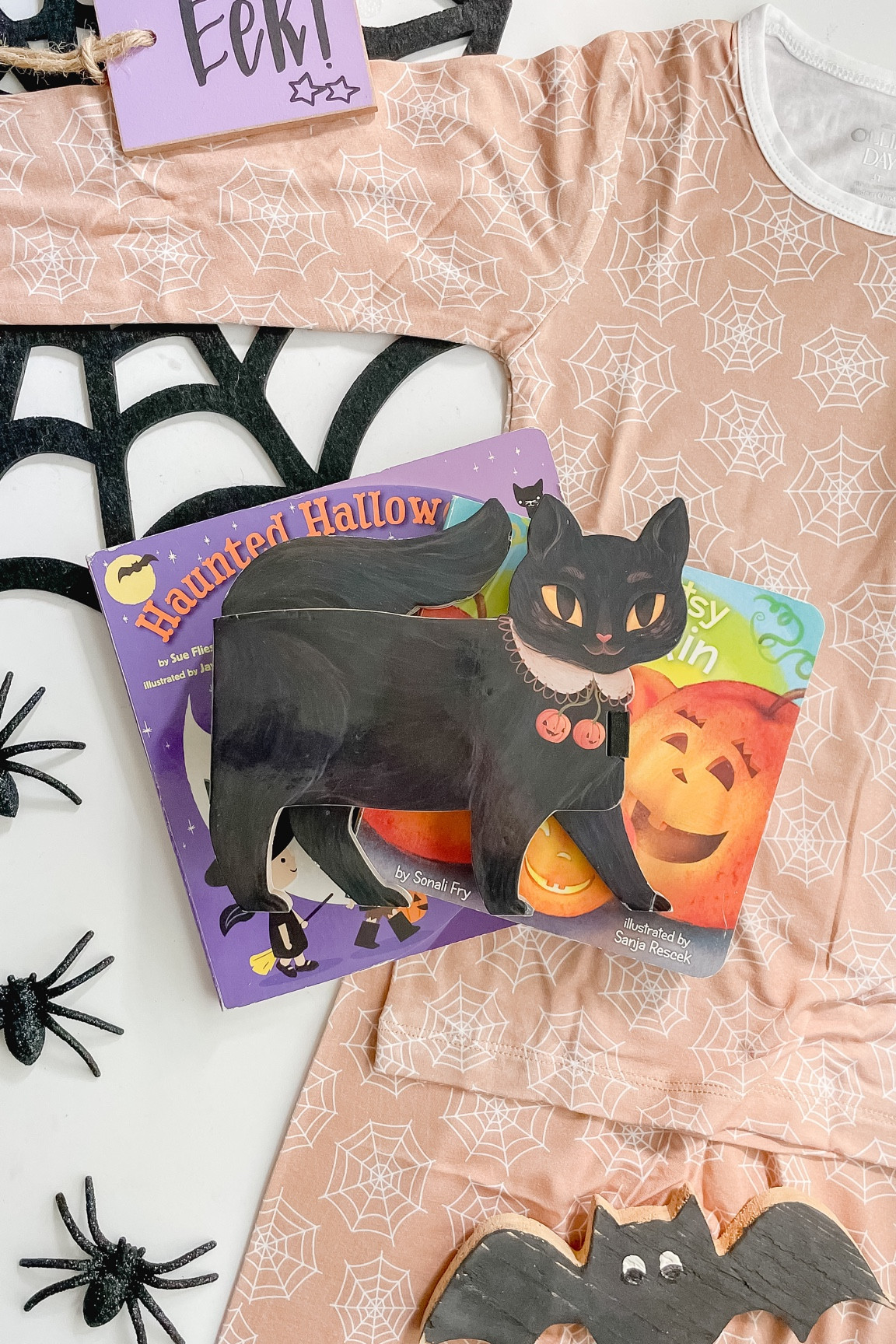 Halloween board books for babies and young toddlers!

#LTKSeasonal #LTKkids #LTKHalloween