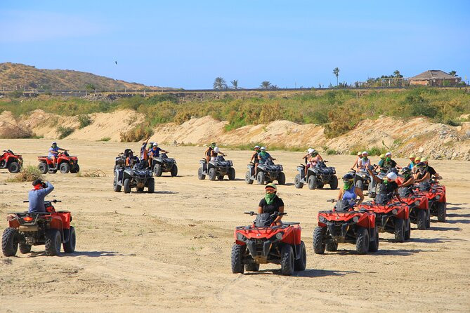 Cabo Migrino Beach and Desert ATV Tour plus Tequila Tasting | Viator – A TripAdvisor Company (US)