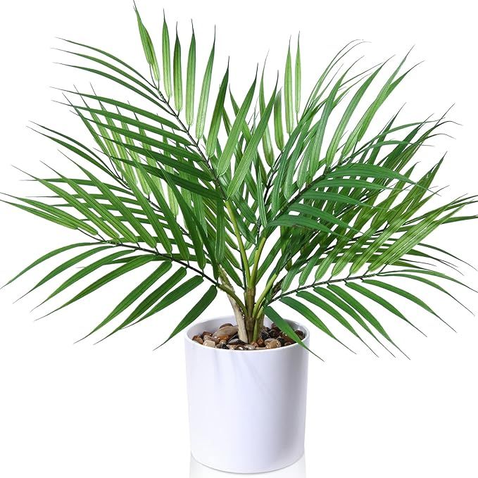 Kazeila Small Artificial Paradise Palm Tree 16 Inch Fake Areca Palm Plant,Faux Desk Plant in Pot ... | Amazon (US)