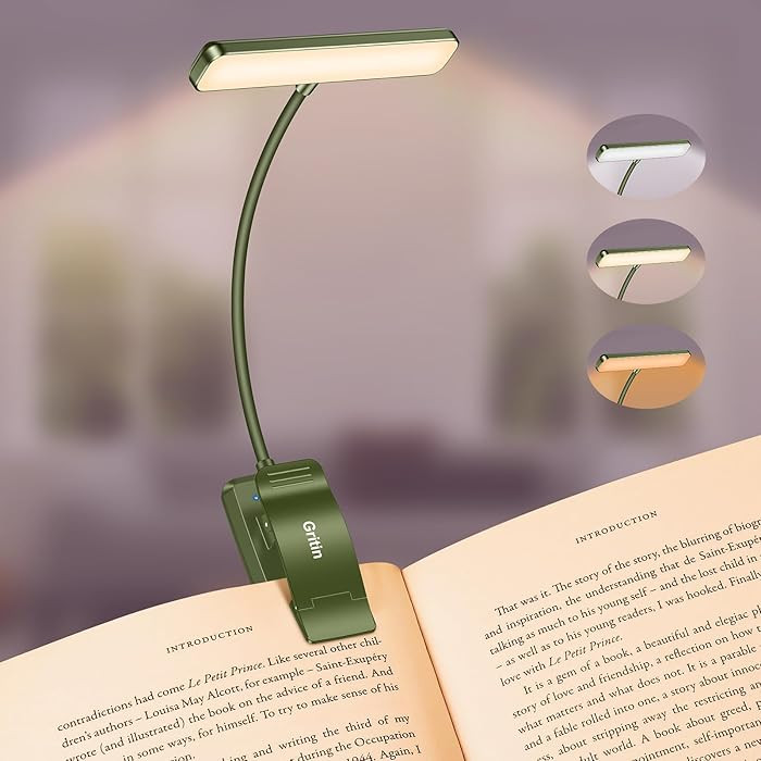 Gritin 19 LED Rechargeable Book Light for Reading in Bed with Memory Function- Eye Caring 3 Color... | Amazon (US)