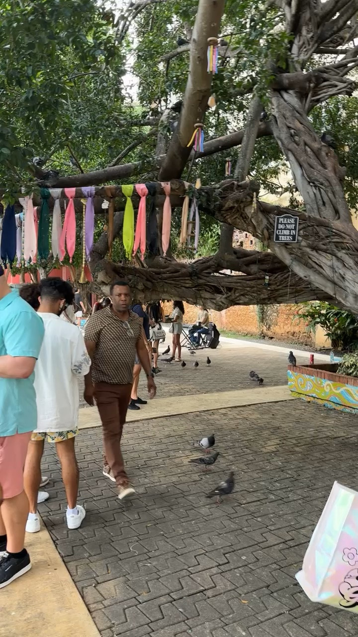Best shoes and clothes for travel! ￼

#LTKvlog #LTKU #LTKTravel