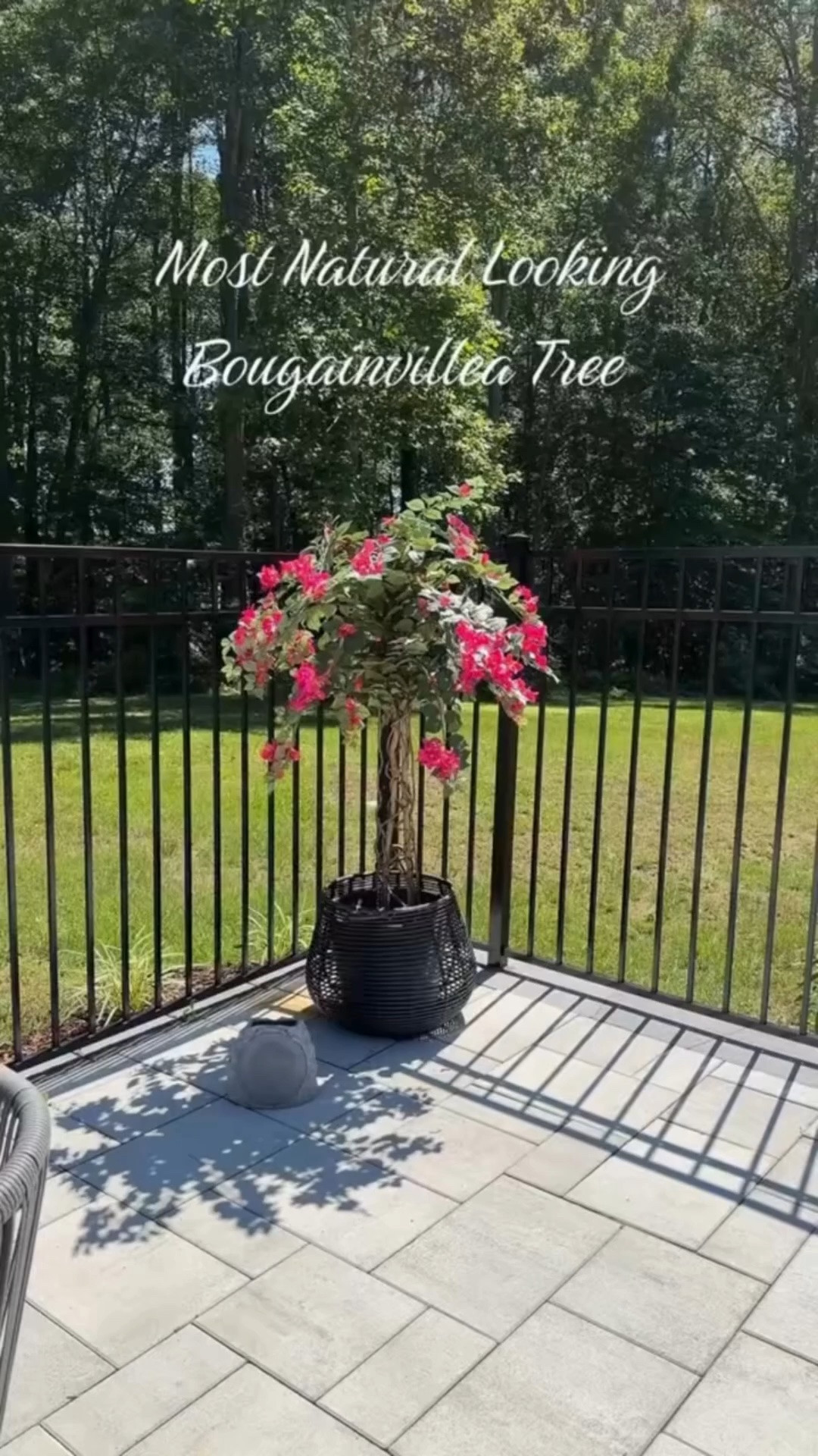 🔗 Comment LINK! Nearly Natural CRUSHES realistic!!! This Bougainvillea Tree is by far the most realistic tree I’ve ever bought!
#HomeDecor #fauxtrees #nearlynatural #porchdecor #porchgoals