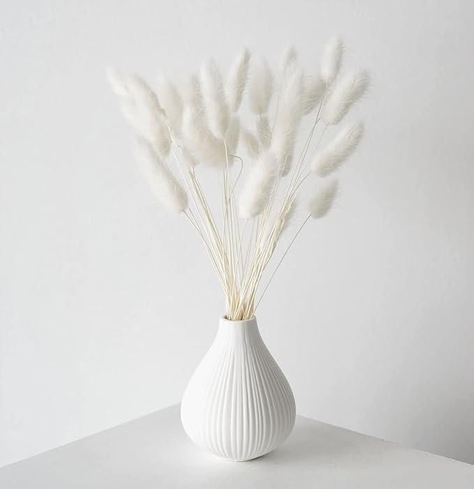 Birchio 100 Stems Natural Dried Bunny Tail Grass, Rabbit Tail Grass, Lagurus Ovatus for Home Deco... | Amazon (US)