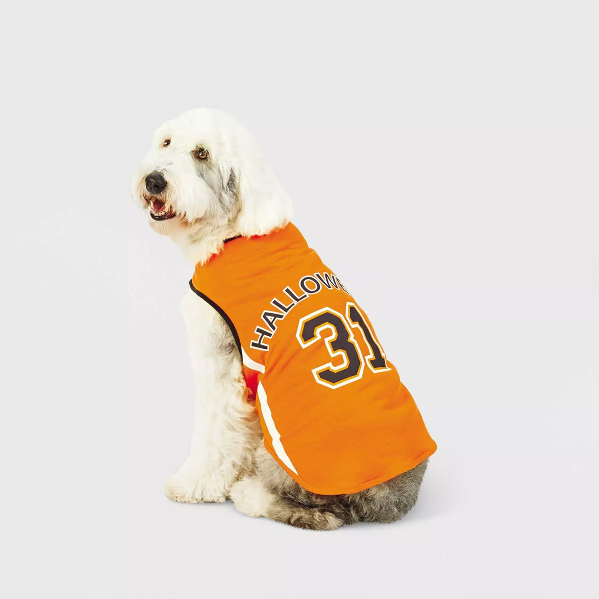 Halloween Dog and Cat Basketball Jersey - Hyde & EEK! Boutique™ | Target