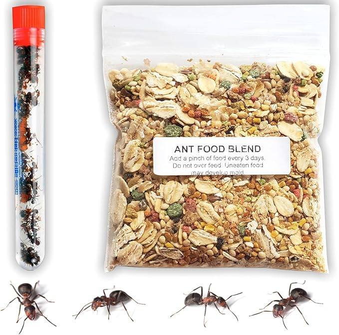 Nature Gift Store 1 Tube Live Ant Farm Ants Plus Ant Food-Bundle | Amazon (US)
