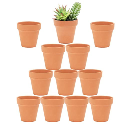 Yishang 2.5 inch Terracotta Pots with Drainage Holes,Small Mini Clay Ceramic Pottery Planter,Cactus Flower Terra Cotta Pots,Succulents Nursery Pots for Indoor/Outdoor Plants,Crafts,Wedding-12 Pack | Amazon (US)
