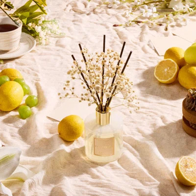 COCORRÍNA Reed Diffuser Set | Wayfair North America