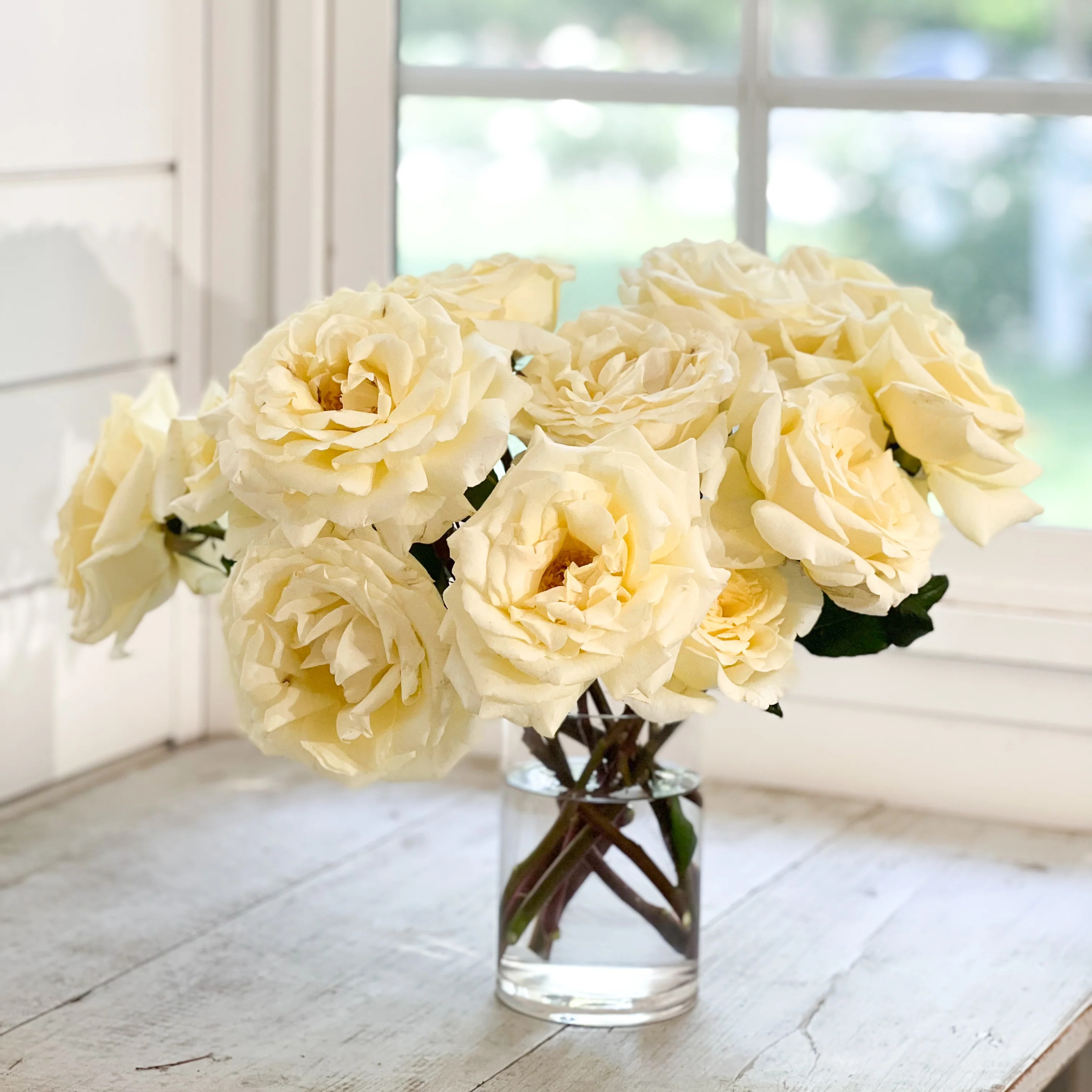 Vitality | grace rose farm