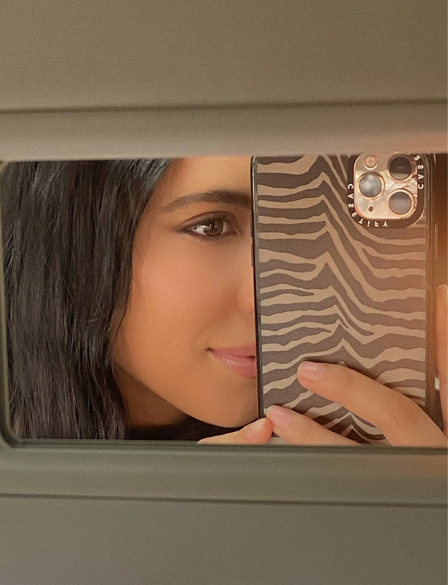 casetify brown zebra case #phonecase #zebra #casetify 

#LTKHoliday #LTKSeasonal #LTKGiftGuide